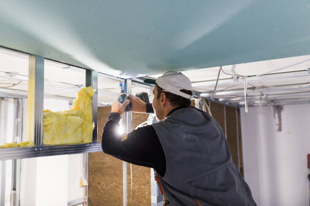 Best Soundproof Insulation Installation  in USA